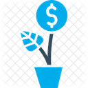 Dollar Plant Investment Money Plant Icon