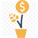 Dollar Plant Investment Money Plant Icon