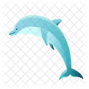 Dolphin  Icon