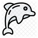 Dolphin  Icône