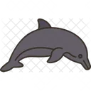 Dolphin  Icon