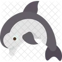 Dolphin  Icon