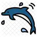 Dolphin  Icon