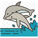 Dolphins Animal Marine 아이콘