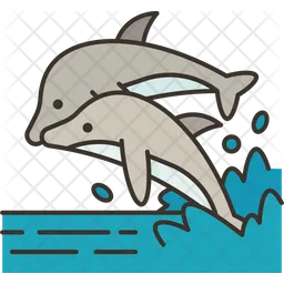 Dolphins  Icon