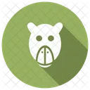 Donkey Animal Zoo Icon