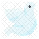 Dove  Icon