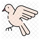 Dove Bird Pigeon Icon