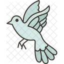 Dove Bird Pigeons Icon