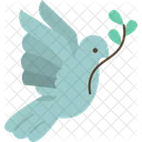 Dove  Icon