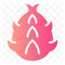 Dragon Fruit  Icon