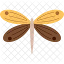 Dragonfly  Icon