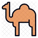 Dromedary  Icon