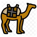 Dromedary  Icon