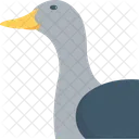 Duck  Icon