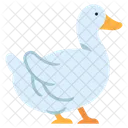 Duck Bird Water Bird Icon