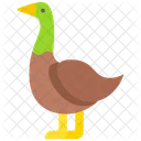 Duck Icône