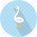 Duck Anatidae Aves Icon