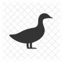 Duck Animal Bird Icon