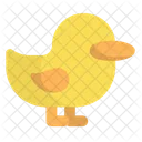 Duck  Icon