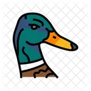 Duck Animal Wild Icon