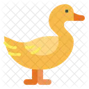 Duck  Icon