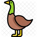 Duck Icon