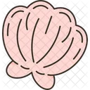 Dumpling  Icon