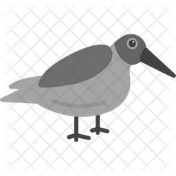 Dunlin  Icon