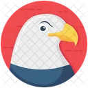 Eagle Head Hawk Eye Eagle Face Icon