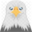 Eagle Head Hawk Icon