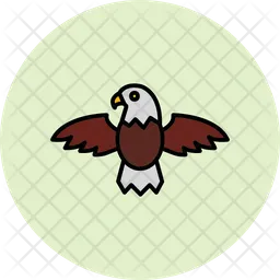 Eagle  Icon