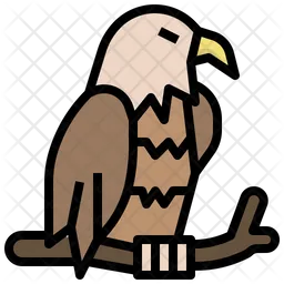 Eagle  Icon