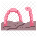 Earthworm  Icon