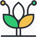 Eco Greenery Growing Icon