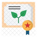 Eco Certificate Icon