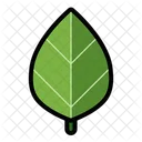 Eco Leaf  Icon