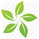 Eco Leaves  Icon