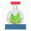 Eco Research Icon