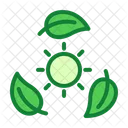 Ecology Leafe Sun Icon