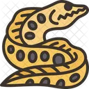 Eel Sea Moray Icon