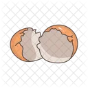 Egg Shell  Icon