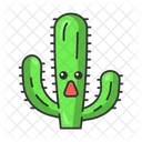 Elephant cactus pringlei  Icon