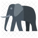 Elephant Pachyderm  Icon