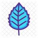 Elm leaf  Icon