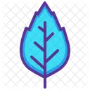 Elm leaf  Icon