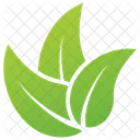 Elm Leaves  Icon