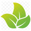 Elm Leaves Logo Leaves Leaves Logo Icon