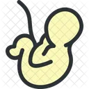 Embryo  Icon