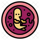 Embryo  Icon